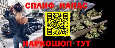 сатива Будённовск