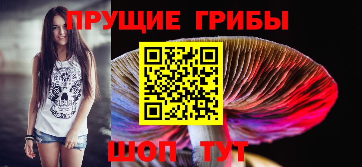 Березники  Псилоцибиновые грибы MAGIC MUSHROOMS  Вход с VPN 